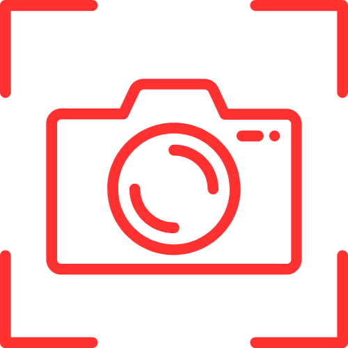 Pd Cams Porn Live